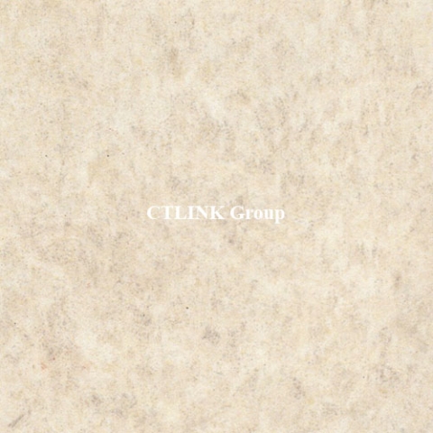 Sàn nâng kỹ thuật khuôn thép lõi xi măng mặt phủ HPL chống tĩnh điện Anti Static